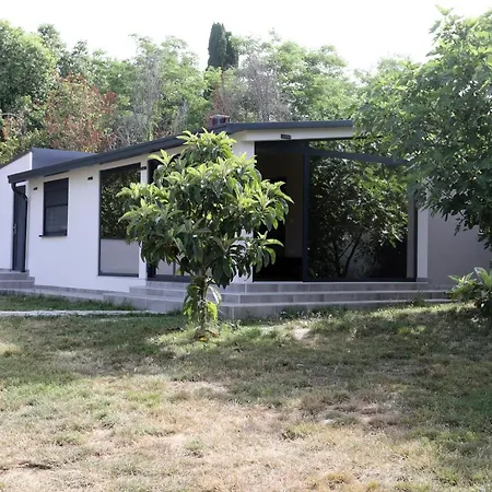 Tika Medulin